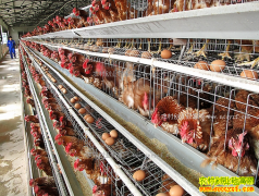 2018����ֳʲô��׬Ǯ