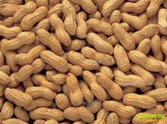 �����۸�ƽ�� ר��Ԥ�⻨�������ǵ�4Ԫһ��Ŀ����Բ���