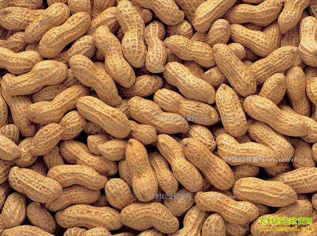 �����۸�ƽ�� ר��Ԥ�⻨�������ǵ�4Ԫһ��Ŀ����Բ���