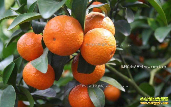 ɰ���ټ۸�������������½� ����ǰ�����