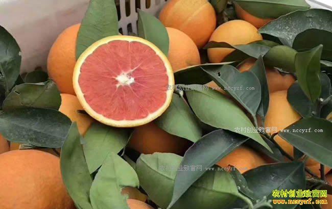 ˮ��������ô������������ˮ����Ҫ��ʲô׼����