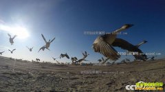 [�¸���]����ͨ���شޱ�����ֳ����׬ǧ��Ƹ�