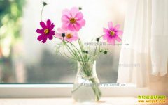 2018�꿪����׬Ǯ��С�ɱ�����ƿ�л����׬Ǯ