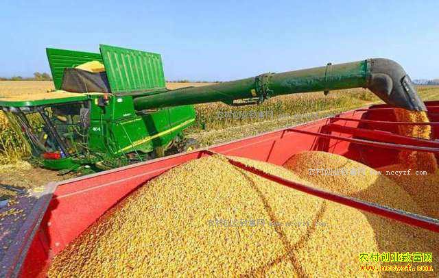 2018������ʳ���������߽��