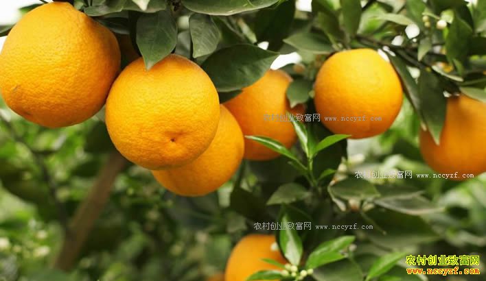 ����������67�����˲�������ҵ����������