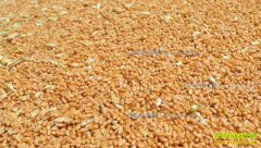 2018��С���г��������ǿ��