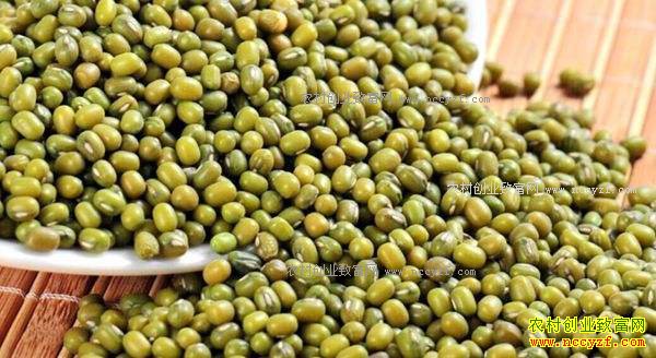 ����ǰ�̶�����������ů