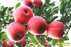 ��������ˮ����Ҫ����Щʲô׼����