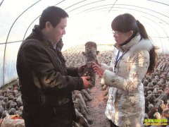 �����ӱ������༼��Ҫ��