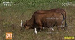 [ÿ��ũ��]���ϣ������ġ���ţ��Ч���