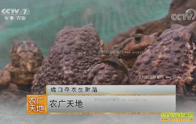 [ũ�����]��������Ԭ����������ֳ����·