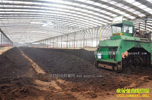 ��ţ�����������ͼӹ�ţ�ࣿ