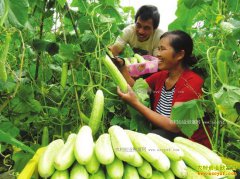 ũ�����¸� �ߺ�������