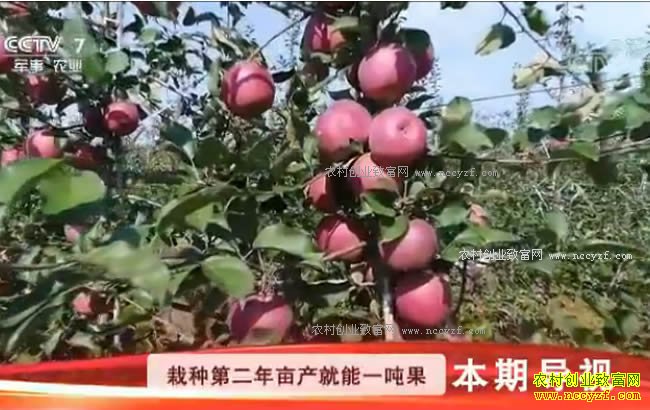 [�Ƽ�Է]�᳤�� ��ǽ���ҹ� ���״���ƻ��Ķ��һ��