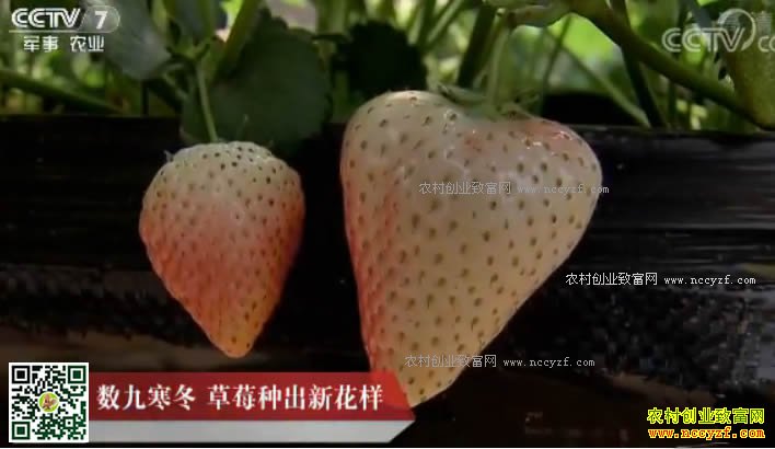 [�Ƽ�Է]���ź��� ������Ѵ����ݮ�ֳ��»���