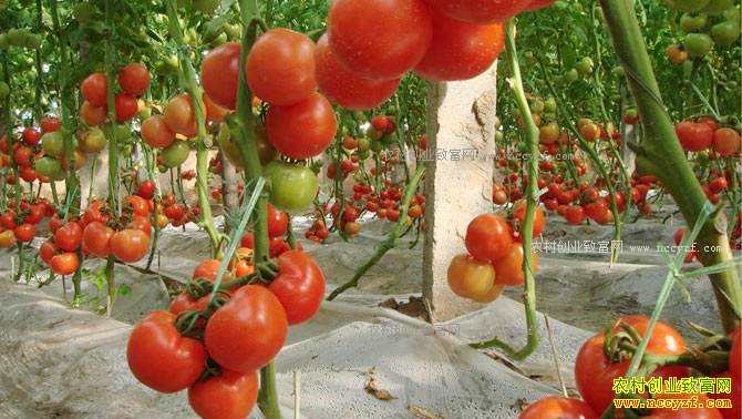 ��������������ס����ô�죿