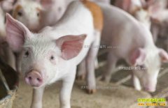 �в�ҩ���������������в�ҩ��������ҩ����ȫ