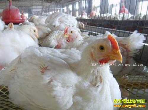 �⼦��ˮ�ۺ���