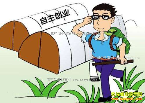 ũҵ��ҵ��������ֻ���ɹ���̸����