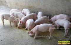 �ɱ����� �����µ� ����������ֳ����ȥ�δ�