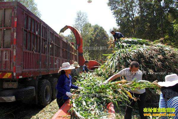 ɽ����̨�����ʷɷϽո���ӹ�����ʮ����
