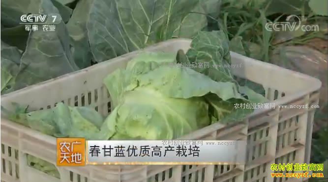 ũ����أ����������ʸ߲���ֲ������Ƶ