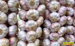 ����۸��µ����ֲ��������� ���ڼ۸������ߵ�