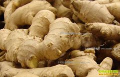 ������ֲ������������ ������������δ�ؾ�������