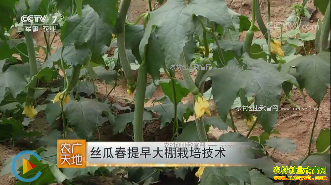 [ũ�����]˿�ϴ�����������༼��20180326