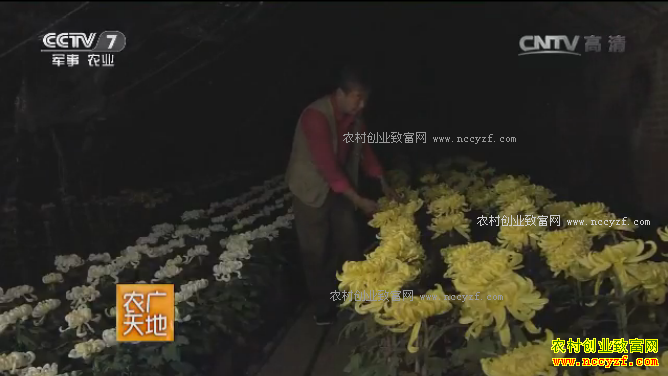 [ũ�����]���;ջ����༼����Ƶ