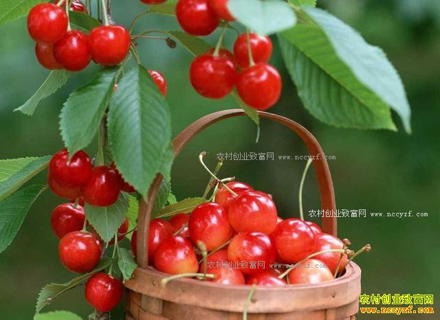 ������ˮ���������� �ɴ�ʱ���Ч���