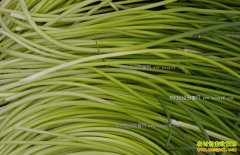 �Ϸ���޷½������ �Ĵ���޷���������¼۸���