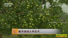 [ũ�����]����޽Ӵ��漼����Ƶ