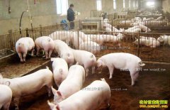 �����ڵ͹Ȼ������2020�� ��ֳ���豧��ȡů