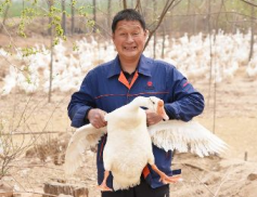 ���˶����ڲ鿴��̬������������