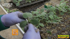 [ũ�����]�ƹ�˫�ϸ��޽����缼����Ƶ