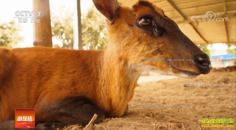 [�Ƽ�Է]Ұ��������ô�������Ͼ��ȿ׵��������Ӽ�����Ƶ