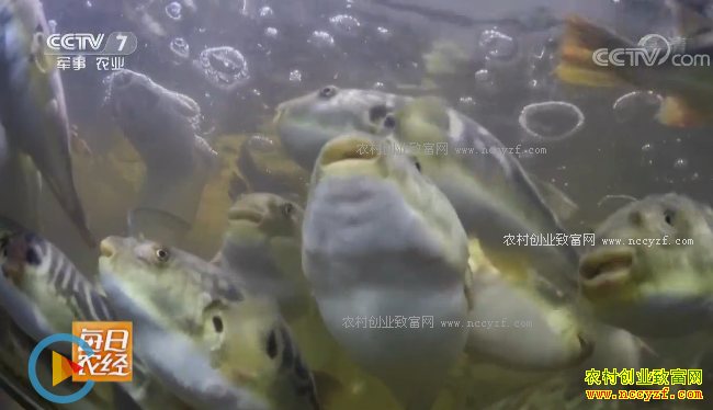 [ÿ��ũ��]̲Ϳ��פ���ջƺ��� 20180322