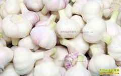 �������е��´���۸񱩵� ��ũ��ʧ����