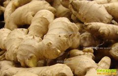 ������������Ϊ�� ��ֲ�����������