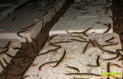 2018�����۸��������Ʒ���