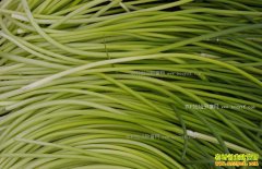 ��޷���� ��ͬ������޷�۸�����