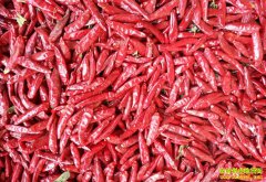 ��Դ��Ӧ���� �����۸������̬��