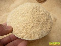 ��Ƥ�۸�ʼ����