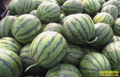 ���������������۸�Խ��Խ������