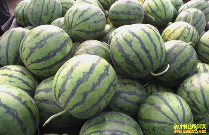 ���������������۸�Խ��Խ������