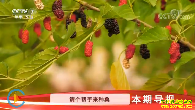 [�Ƽ�Է]ɣ�غóԿ����� 20180516