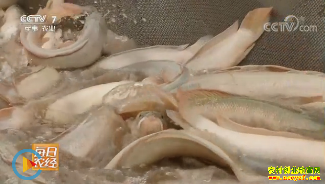 [ÿ��ũ��]��ɫ���׵���������۸�� 20180516