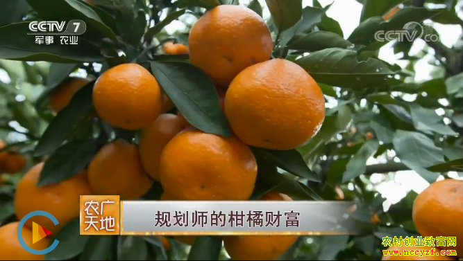 [ũ�����]�Ϻ��滮ʦ�ƹ����ĸ��ٲƸ�