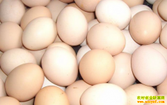 ���絰�ۻ����ȶ� ���ֵ��������۸�С������